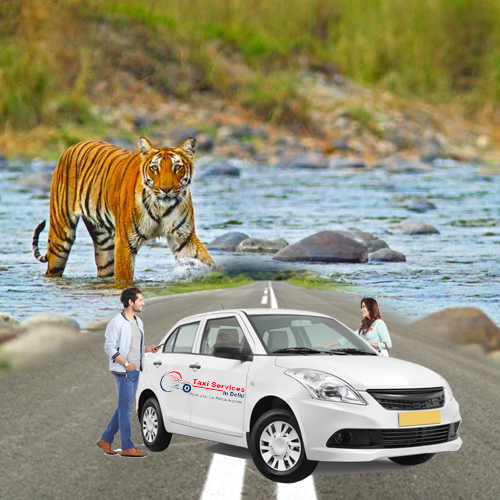 Delhi to Jim-corbett National Park Cab